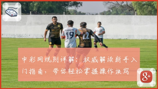 中彩网规则详解：权威解读新手入门指南，带你轻松掌握操作诀窍