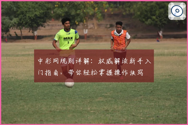 中彩网规则详解：权威解读新手入门指南，带你轻松掌握操作诀窍