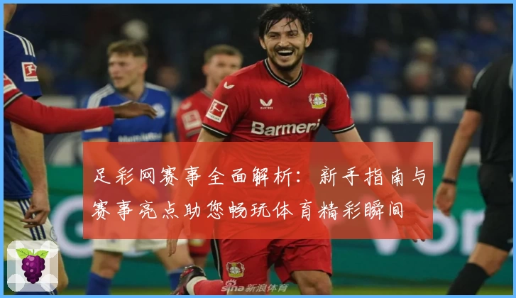 足彩网赛事全面解析：新手指南与赛事亮点助您畅玩体育精彩瞬间