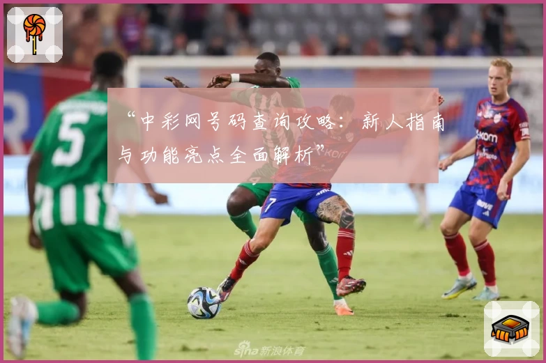 “中彩网号码查询攻略：新人指南与功能亮点全面解析”